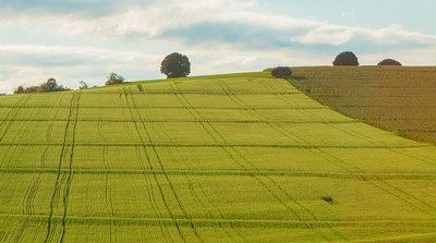 Natječaj za financiranje projekata u 2024. godini prema programu za financiranje projekata lokalne infrastrukture i ruralnog razvoja na područjima naseljenim pripadnicima nacionalnih manjina