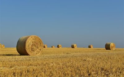 Natječaj za provedbu intervencije 76.01. Osiguranje poljoprivredne proizvodnje