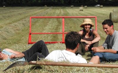 Natječaj za provedbu intervencije 75.01. – Uspostava mladih poljoprivrednika