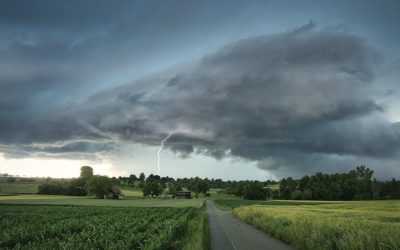 Natječaj za provedbu intervencije 73.02. Obnova poljoprivrednog potencijala