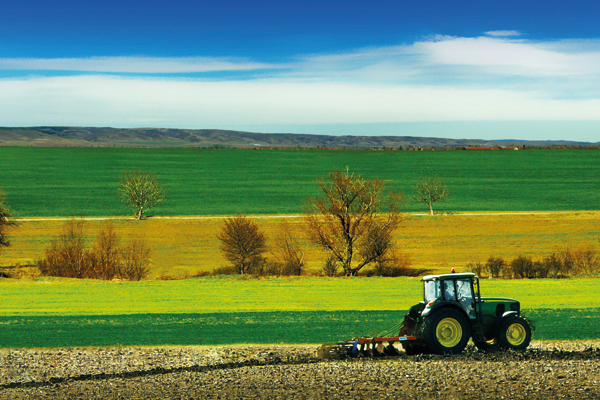 Tractor in The Field