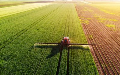 Zadarska županija – JAVNI POZIV za podnošenje zahtjeva za dodjelu sredstava potpora iz područja poljoprivrede i ruralnog razvoja za 2025. godinu